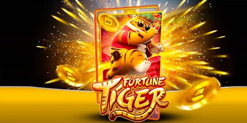 Quem é o Fortune Tiger 811betbet.Com